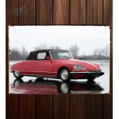 Металлическая табличка Citroen DS 19 Cabriolet 174